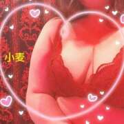 ヒメ日記 2025/05/30 00:32 投稿 小麦（こむぎ） 丸妻 錦糸町店