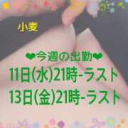 ヒメ日記 2025/06/11 18:30 投稿 小麦（こむぎ） 丸妻 錦糸町店