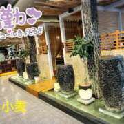 ヒメ日記 2025/07/23 21:33 投稿 小麦（こむぎ） 丸妻 錦糸町店