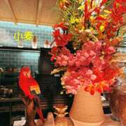 ヒメ日記 2025/09/21 23:18 投稿 小麦（こむぎ） 丸妻 錦糸町店