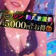 ヒメ日記 2025/11/27 20:55 投稿 小麦（こむぎ） 丸妻 錦糸町店