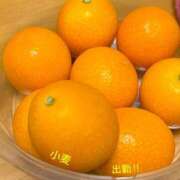 ヒメ日記 2026/04/09 23:39 投稿 小麦（こむぎ） 丸妻 錦糸町店