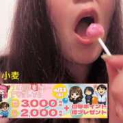 ヒメ日記 2026/04/11 23:15 投稿 小麦（こむぎ） 丸妻 錦糸町店