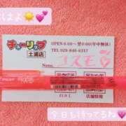 ヒメ日記 2024/12/14 06:10 投稿 コスモ チューリップ土浦店