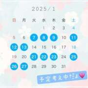 ヒメ日記 2024/12/19 12:30 投稿 コスモ チューリップ土浦店