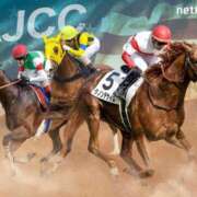 ヒメ日記 2025/01/26 15:05 投稿 コスモ チューリップ土浦店