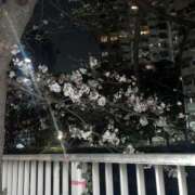 ヒメ日記 2025/03/27 07:31 投稿 美月 紗英 東京貴楼館