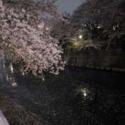 ヒメ日記 2026/04/05 22:22 投稿 美月 紗英 東京貴楼館