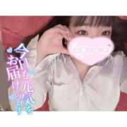 ヒメ日記 2025/10/24 08:45 投稿 すずな 激安ソープの殿堂　ボイン・ホーテ