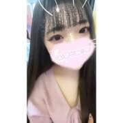 ヒメ日記 2025/11/23 20:00 投稿 すずな 激安ソープの殿堂　ボイン・ホーテ