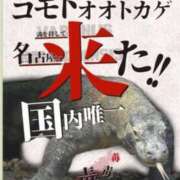 ヒメ日記 2024/08/31 13:05 投稿 なおみ 甲府人妻隊