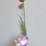 ヒメ日記 2025/06/07 07:07 投稿 さり☆清らかな真面目さん JKサークル