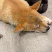 ヒメ日記 2026/02/11 14:54 投稿 さり☆清らかな真面目さん JKサークル