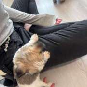 ヒメ日記 2026/02/17 09:14 投稿 さり☆清らかな真面目さん JKサークル