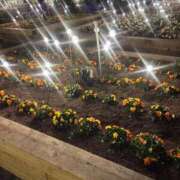 ヒメ日記 2026/02/26 16:00 投稿 さり☆清らかな真面目さん JKサークル