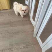 ヒメ日記 2026/02/26 16:24 投稿 さり☆清らかな真面目さん JKサークル