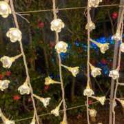 ヒメ日記 2026/02/27 18:17 投稿 さり☆清らかな真面目さん JKサークル