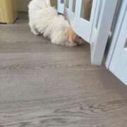 ヒメ日記 2026/03/03 21:19 投稿 さり☆清らかな真面目さん JKサークル