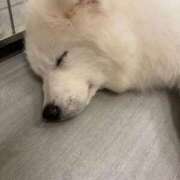 さり☆清らかな真面目さん ふぇっ🥺 JKサークル