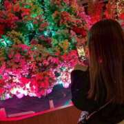 ヒメ日記 2026/03/08 18:10 投稿 さり☆清らかな真面目さん JKサークル