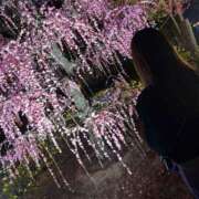 ヒメ日記 2026/03/17 22:09 投稿 さり☆清らかな真面目さん JKサークル