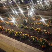 ヒメ日記 2026/03/20 19:01 投稿 さり☆清らかな真面目さん JKサークル