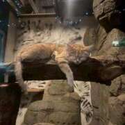 ヒメ日記 2026/03/24 19:17 投稿 さり☆清らかな真面目さん JKサークル