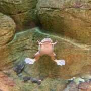 ヒメ日記 2026/03/25 03:32 投稿 さり☆清らかな真面目さん JKサークル