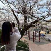 ヒメ日記 2026/03/25 08:12 投稿 さり☆清らかな真面目さん JKサークル