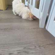 ヒメ日記 2026/03/25 23:01 投稿 さり☆清らかな真面目さん JKサークル