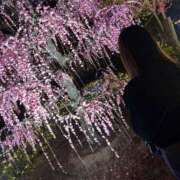 ヒメ日記 2026/03/28 07:45 投稿 さり☆清らかな真面目さん JKサークル