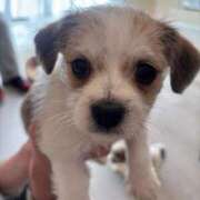 ヒメ日記 2026/03/29 22:33 投稿 さり☆清らかな真面目さん JKサークル