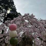 ヒメ日記 2026/04/01 14:17 投稿 さり☆清らかな真面目さん JKサークル