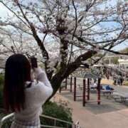 ヒメ日記 2026/04/02 17:01 投稿 さり☆清らかな真面目さん JKサークル