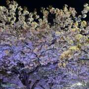 ヒメ日記 2026/04/05 22:40 投稿 さり☆清らかな真面目さん JKサークル