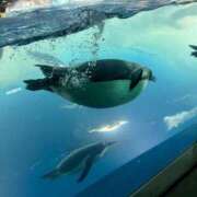ヒメ日記 2026/07/02 14:53 投稿 さり☆清らかな真面目さん JKサークル