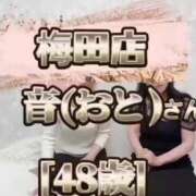 ヒメ日記 2025/05/28 12:28 投稿 結心 PLUS十三店