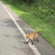 ヒメ日記 2025/08/22 00:18 投稿 結心 PLUS十三店