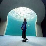 ヒメ日記 2025/04/24 13:23 投稿 らな Platinum Legend(プラチナムレジェンド)