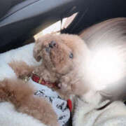 ヒメ日記 2025/06/10 14:17 投稿 らな Platinum Legend(プラチナムレジェンド)