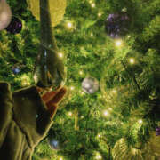 ヒメ日記 2025/12/15 10:47 投稿 らな Platinum Legend(プラチナムレジェンド)