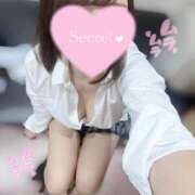 ヒメ日記 2025/11/09 15:25 投稿 ひびき ハンドキャンパス新宿