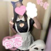 ヒメ日記 2026/02/14 16:47 投稿 ひびき ハンドキャンパス新宿