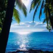 ヒメ日記 2025/05/28 17:20 投稿 つばめ しろうとCollection