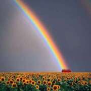 ヒメ日記 2025/06/09 15:17 投稿 つばめ しろうとCollection