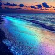 ヒメ日記 2025/06/11 18:47 投稿 つばめ しろうとCollection