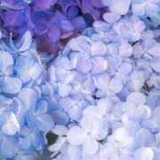 ヒメ日記 2025/08/31 20:47 投稿 つばめ しろうとCollection