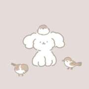 ヒメ日記 2024/12/15 14:41 投稿 みさ 新宿本店 ぽちゃカワ女子専門店