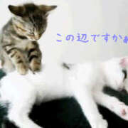 ヒメ日記 2025/01/21 13:58 投稿 乙葉 HERMINE-エルミネ-