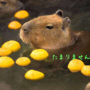 ヒメ日記 2025/01/25 17:13 投稿 乙葉 HERMINE-エルミネ-